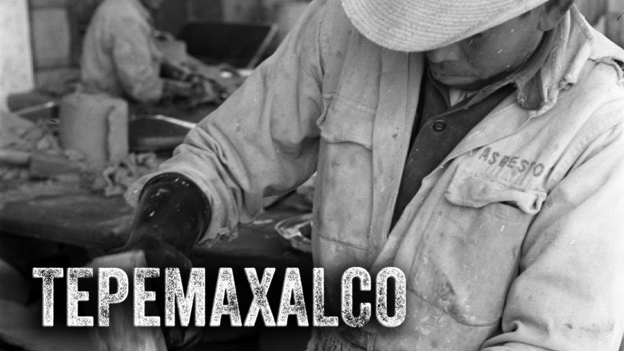 fallo de la justicia